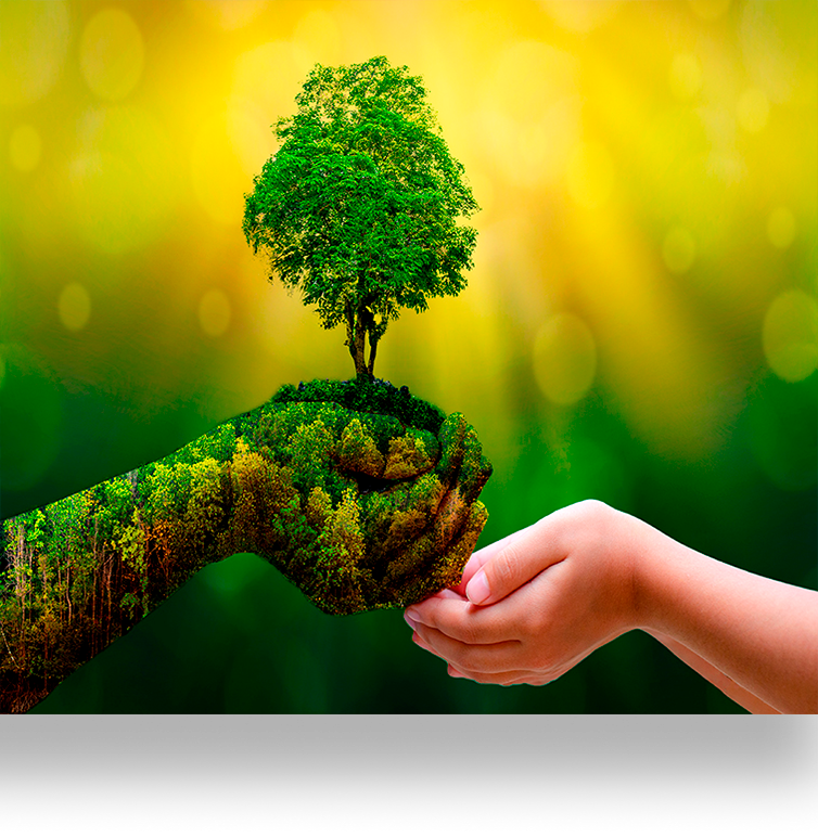 https://www.bicsa.com/wp-content/uploads/2022/04/GESTIONAMBIENTAL.png